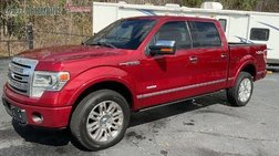 2013 Ford F-150 Platinum