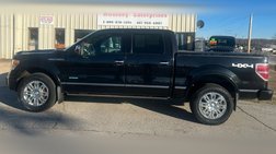 2013 Ford F-150 Platinum