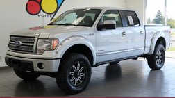 2010 Ford F-150 Platinum