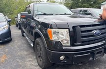 2010 Ford F-150 