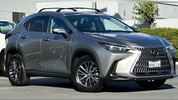 2025 Lexus NX 350 Premium