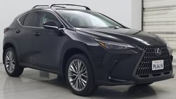 2025 Lexus NX 350h Premium