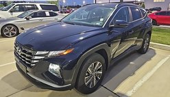 2023 Hyundai Tucson Hybrid Blue