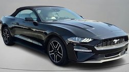 2023 Ford Mustang EcoBoost