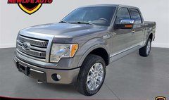 2010 Ford F-150 Platinum