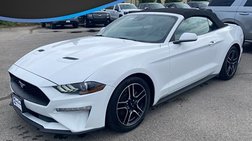 2022 Ford Mustang EcoBoost