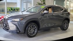 2025 Lexus NX 250 Premium