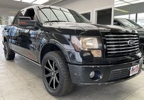 2010 Ford F-150 Platinum