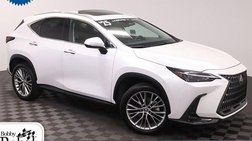 2025 Lexus NX 350 Premium