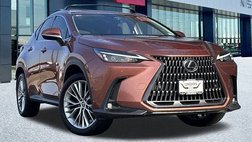 2025 Lexus NX 350h Premium