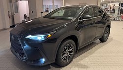 2024 Lexus NX 250 Premium