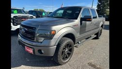 2013 Ford F-150 FX4