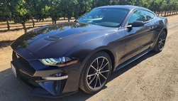 2022 Ford Mustang EcoBoost