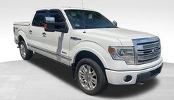 2013 Ford F-150 Platinum