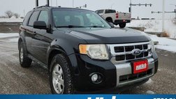 2011 Ford Escape Limited