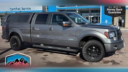 2013 Ford F-150 FX4