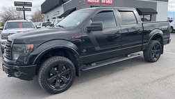 2014 Ford F-150 FX4
