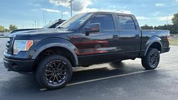 2010 Ford F-150 FX4