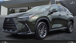 2023 Lexus NX 250 Base