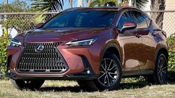 2025 Lexus NX 250 Premium