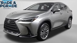 2022 Lexus NX 350h Luxury