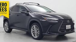 2025 Lexus NX 350h Premium