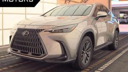 2024 Lexus NX 250 Premium
