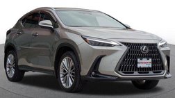 2025 Lexus NX 350h Luxury