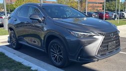 2023 Lexus NX 250 Premium