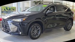 2025 Lexus NX 250 Base