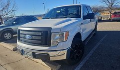 2009 Ford F-150 XLT