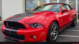 2010 Ford Shelby GT500 Base