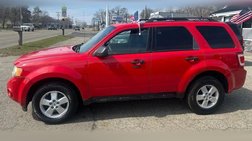 2009 Ford Escape XLT
