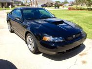 Used mustang cars for sale