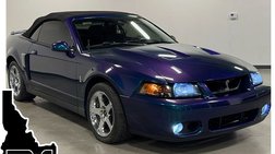 2004 Ford Mustang SVT Cobra Base