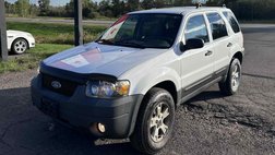 2007 Ford Escape XLT
