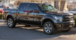 2013 Ford F-150 FX4