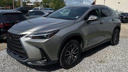 2024 Lexus NX 250 Premium