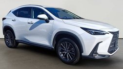 2024 Lexus NX 250 Base