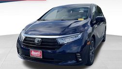 2024 Honda Odyssey Elite
