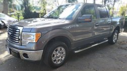 2011 Ford F-150 XLT