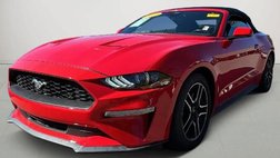 2023 Ford Mustang 