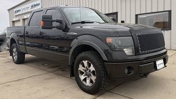 2014 Ford F-150 FX4