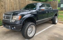 2010 Ford F-150 Platinum