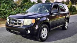 2011 Ford Escape XLT