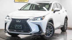 2025 Lexus NX 250 Base