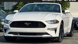 2023 Ford Mustang EcoBoost
