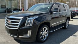 2016 Cadillac Escalade Standard