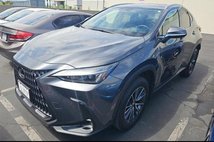 2025 Lexus NX 250 Premium