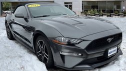 2019 Ford Mustang EcoBoost